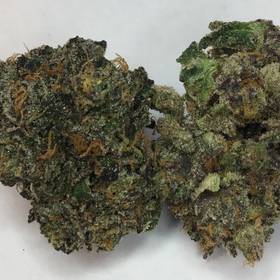 Sherbert -  - Hybrid
