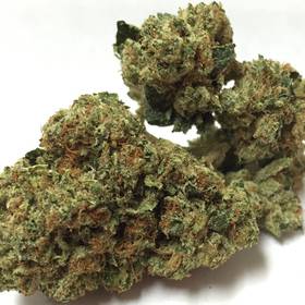 Jet Fuel O.G. -  - Indica