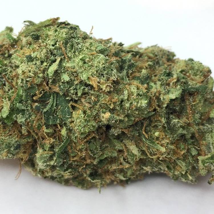 ATF -  - Sativa