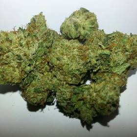 Holy Grail O.G. -  - Indica