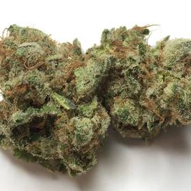 Sapphire Trainwreck -  - Sativa