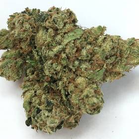 Josh D O.G. By Cali Kush Farms - By Cali Kush Farms - Indica