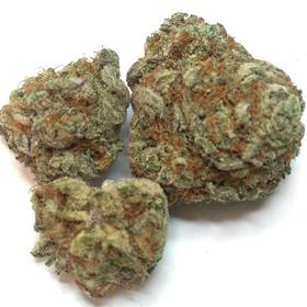 Blackberry Kush -  - Indica