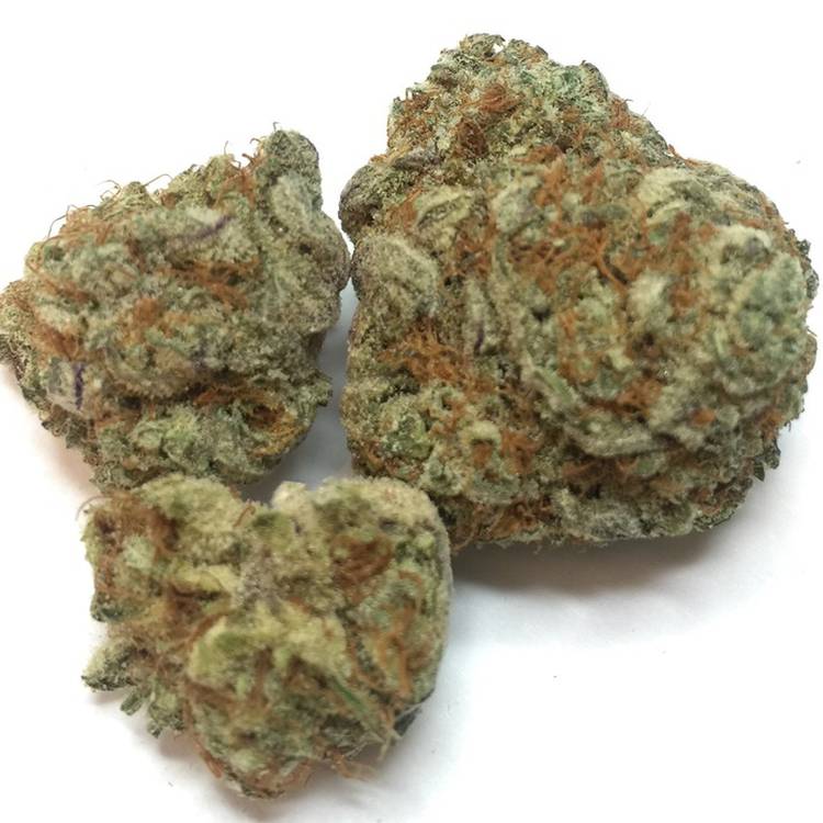 Blackberry Kush -  - Indica