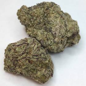 Black Rhino -  - Indica