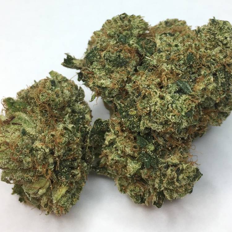 Private Reserve O.G. -  - Indica