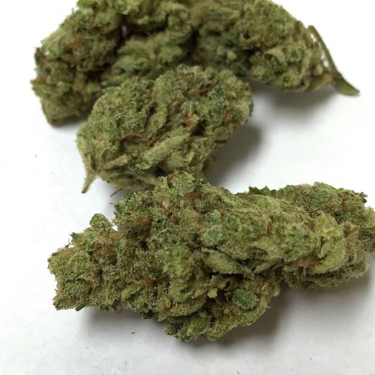 Gorilla Glue #4 - V. I. P. Gorilla Glue #4 is a potent hybrid strain that won 1st place in the 2014 Los Angeles Cannabis