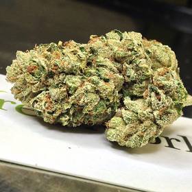 Indica Private reserve