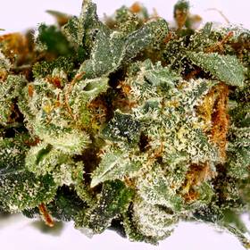 Indica Private reserve