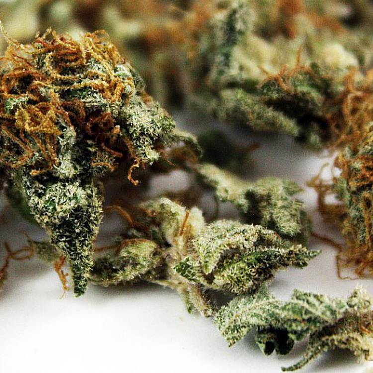 Indica Private reserve