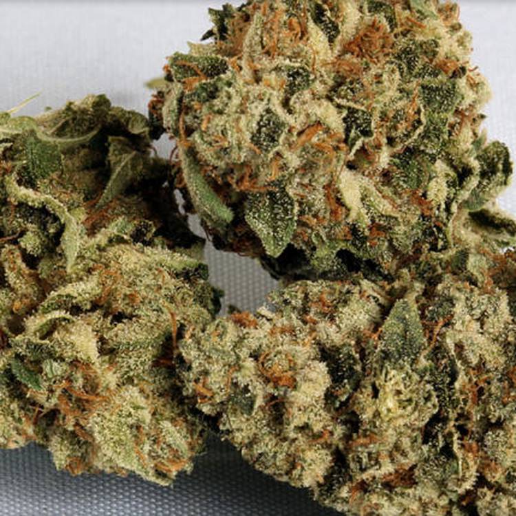 Indica Private reserve