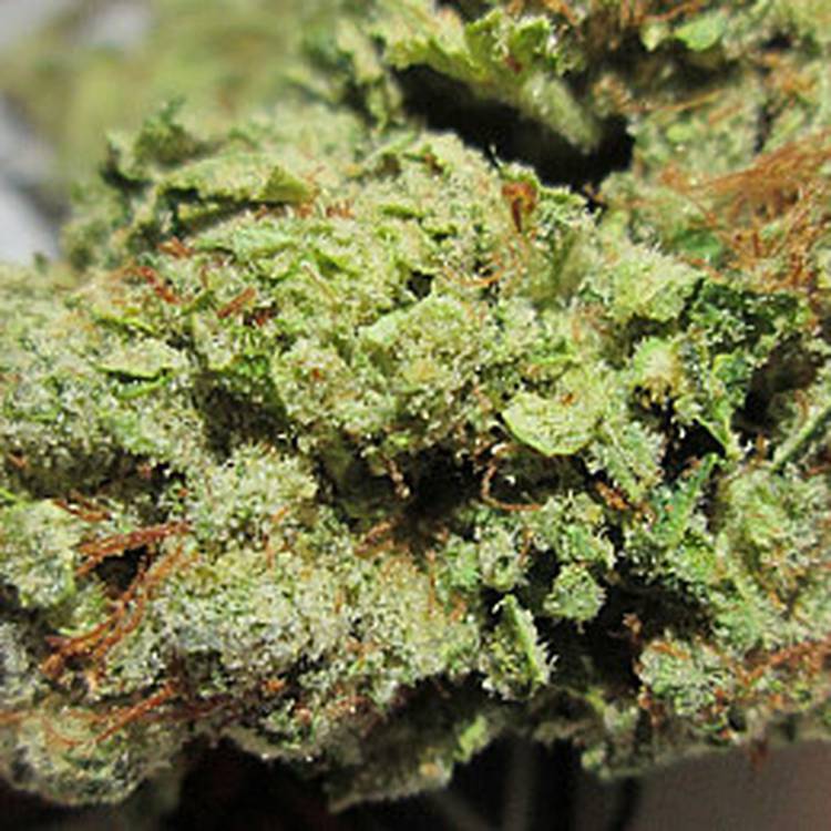 Indica Private reserve