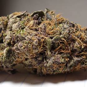 Purple Diesel