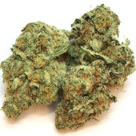 Phantom Cookies -  - Hybrid