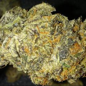 purple punch marijuana strain