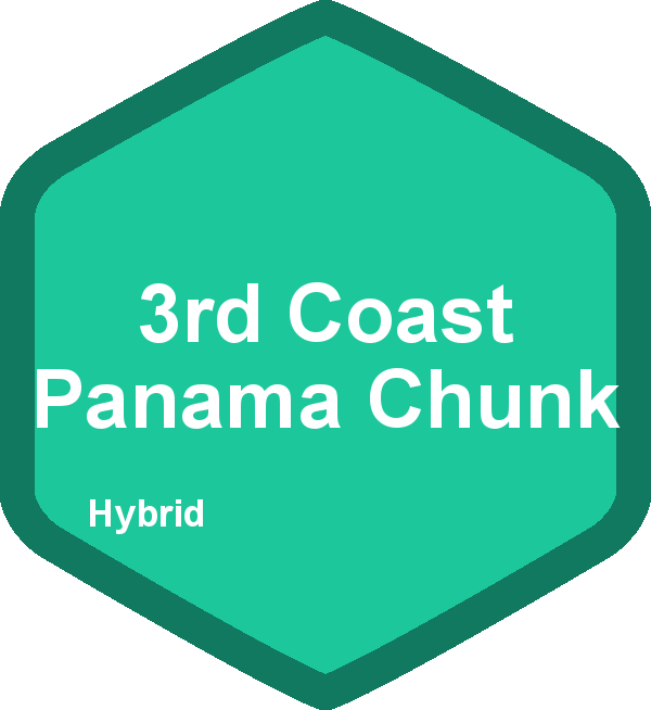 3rd Coast Panama Chunk