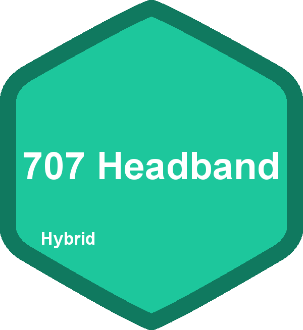 707 Headband