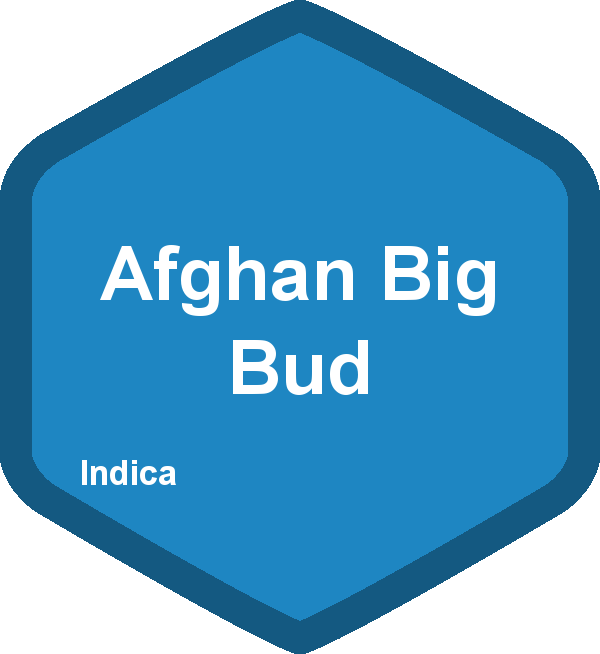 Afghan Big Bud