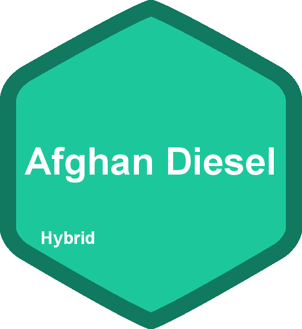Afghan Diesel