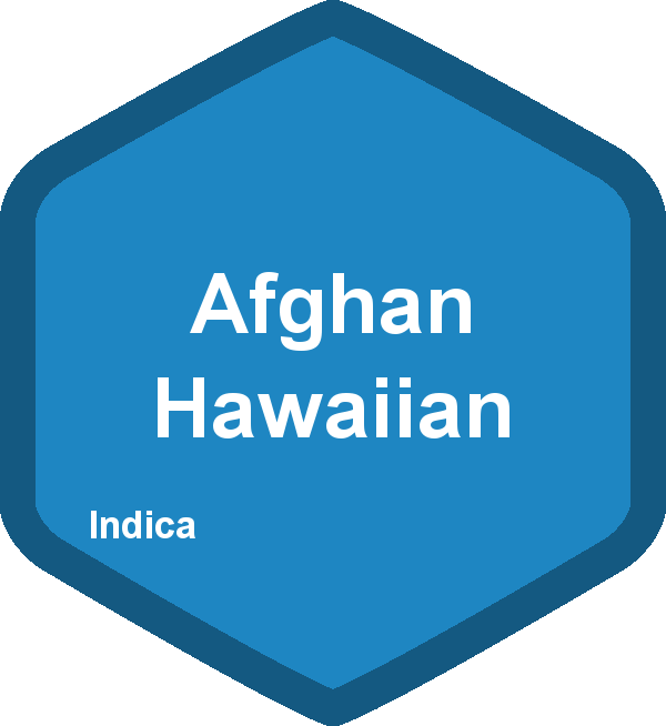 Afghan Hawaiian