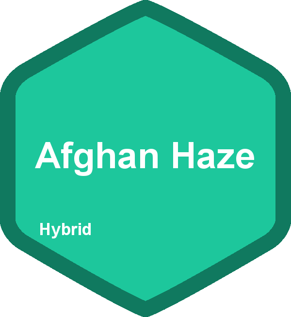 Afghan Haze