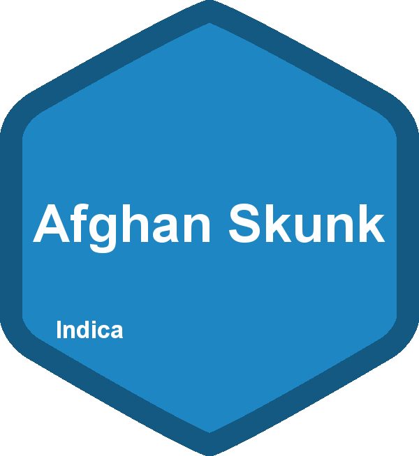 Afghan Skunk