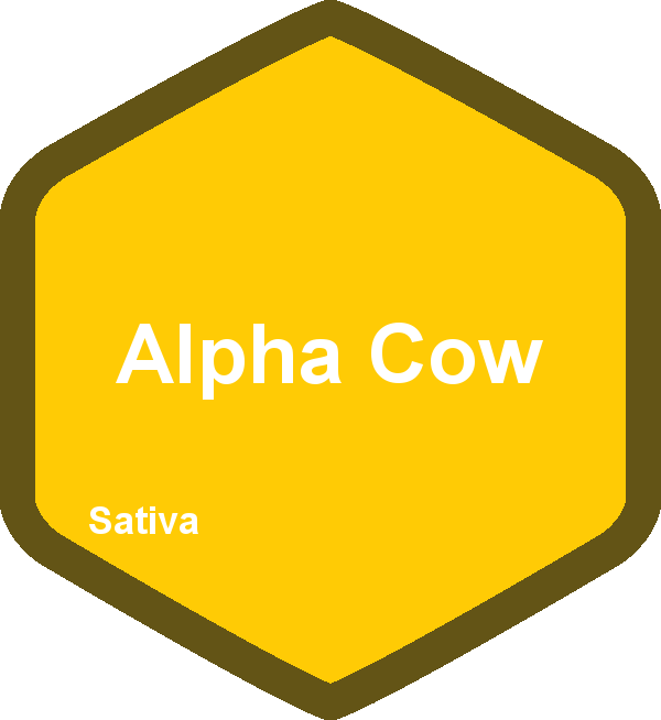 Alpha Cow
