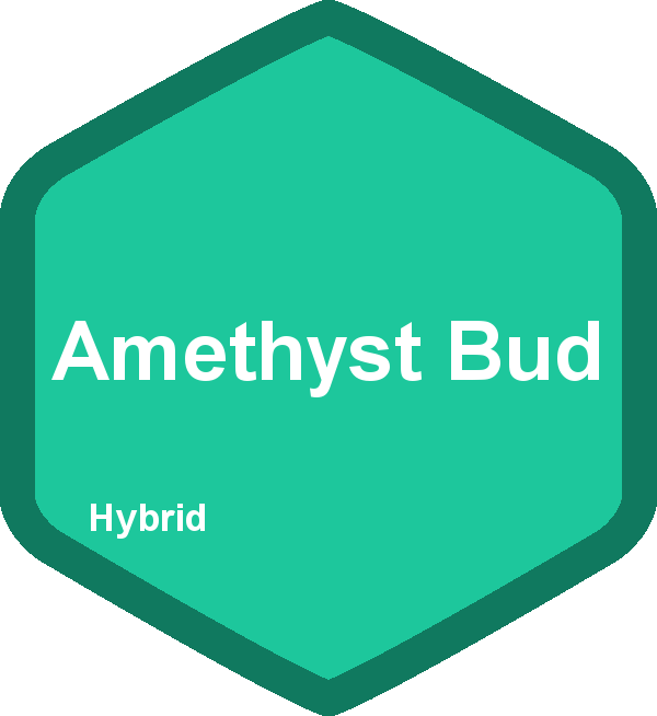 Amethyst Bud