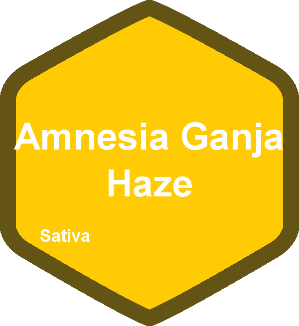 Amnesia Ganja Haze