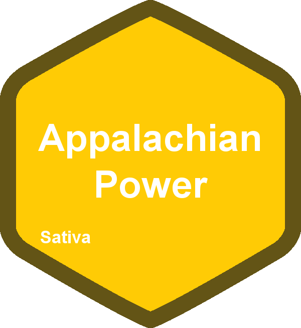 appalachian power