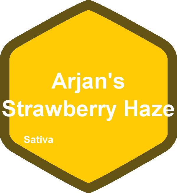Arjan's Strawberry Haze