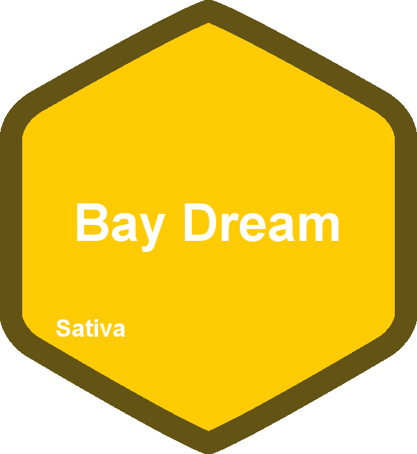 Bay Dream