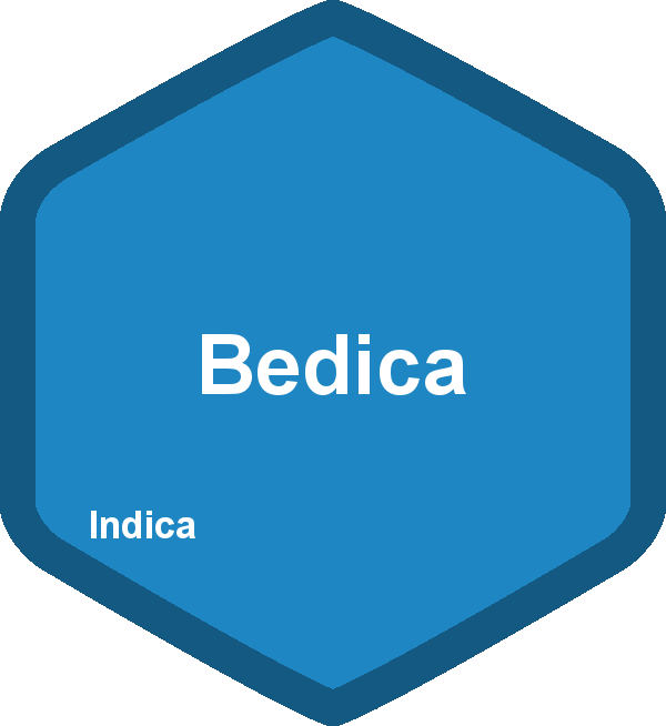 Bedica