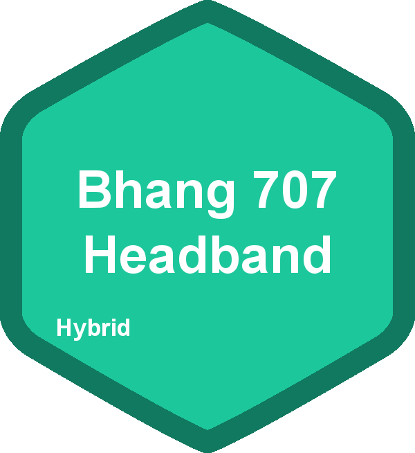 Bhang 707 Headband