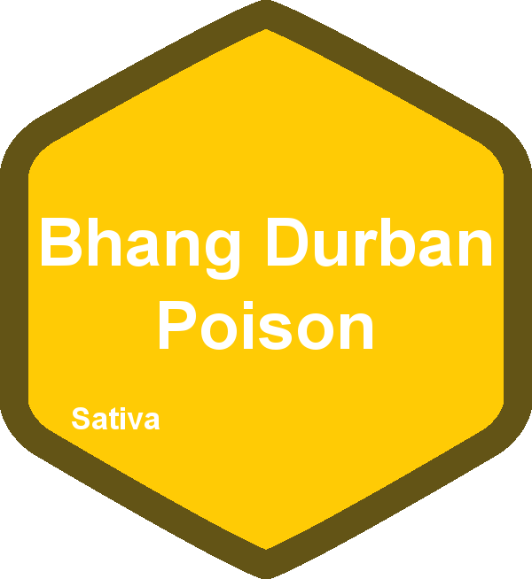 Bhang Durban Poison
