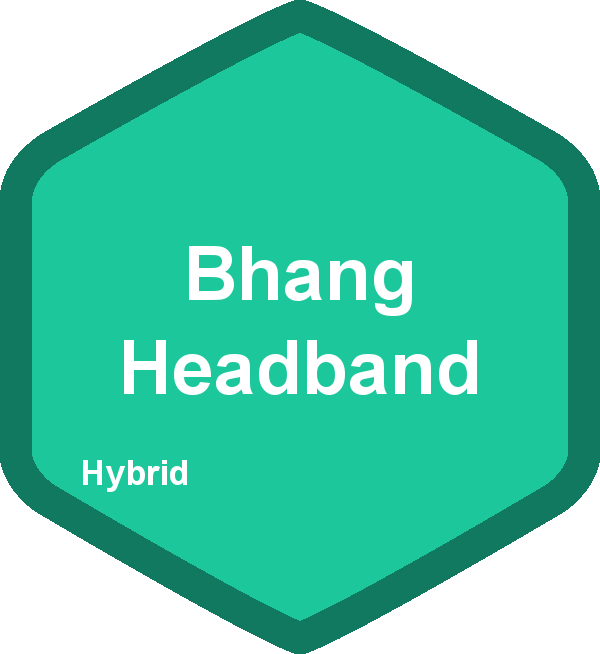 Bhang Headband
