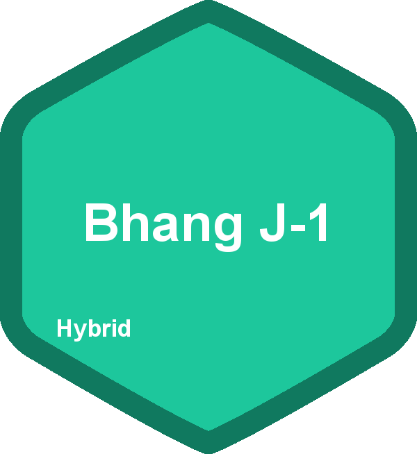 Bhang J-1