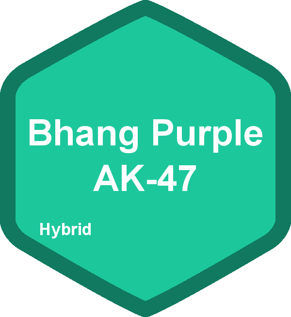 Bhang Purple AK-47