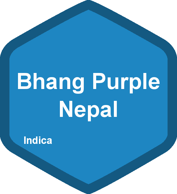 Bhang Purple Nepal