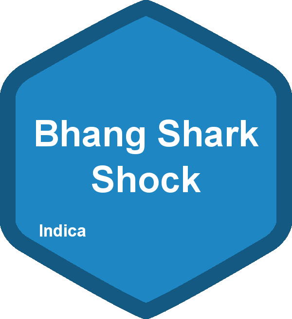 Bhang Shark Shock