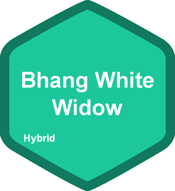 Bhang White Widow