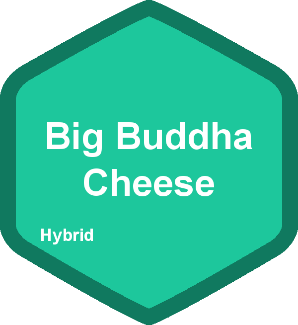 Big Buddha Cheese