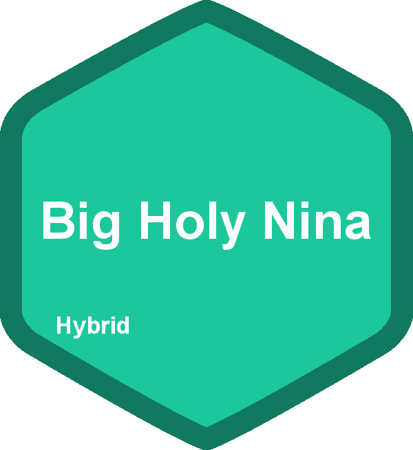 Big Holy Nina