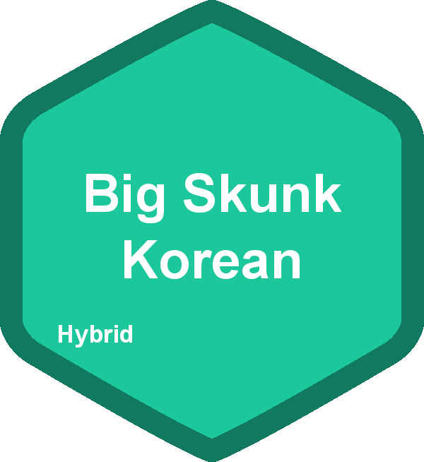 Big Skunk Korean