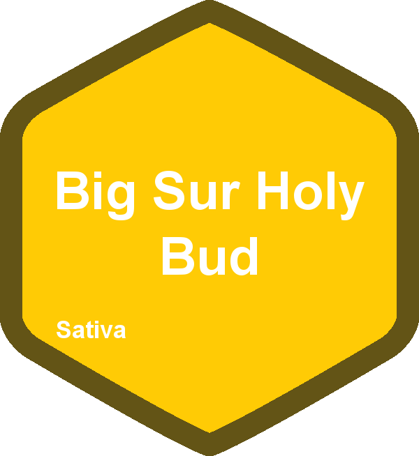 Big Sur Holy Bud