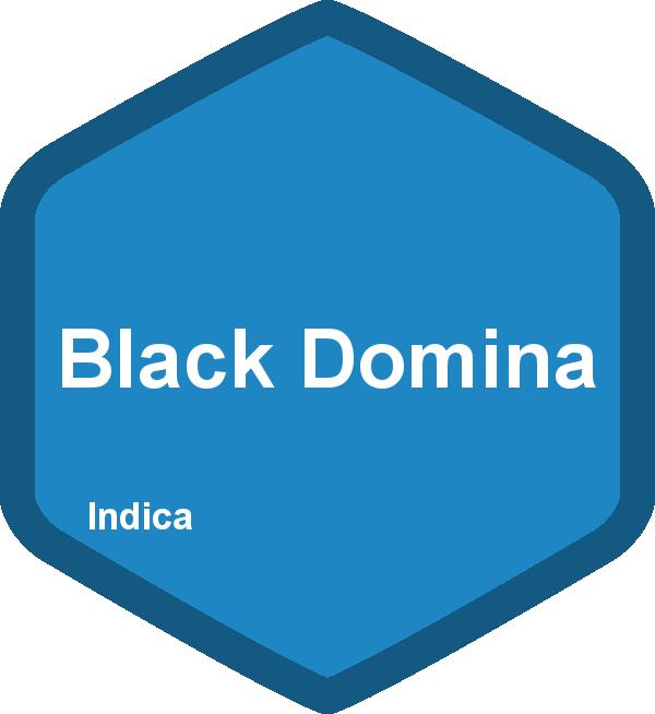 Black Domina