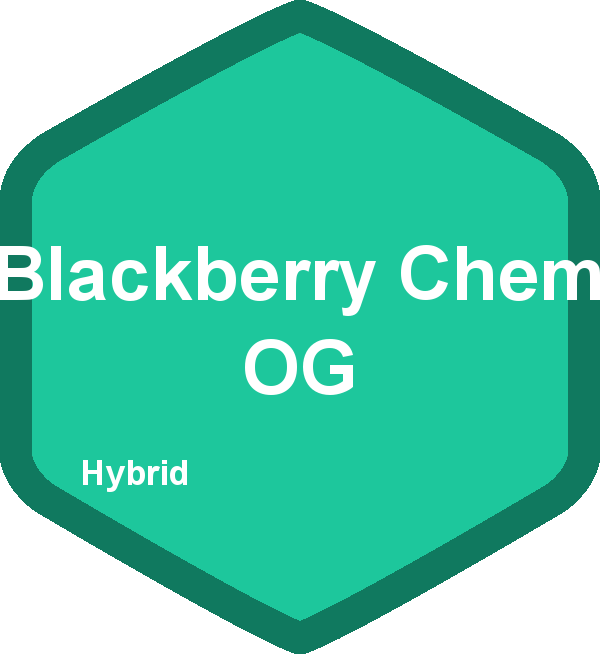 Blackberry Chem OG