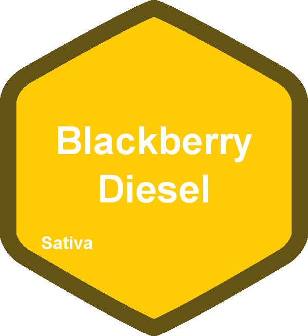 Blackberry Diesel