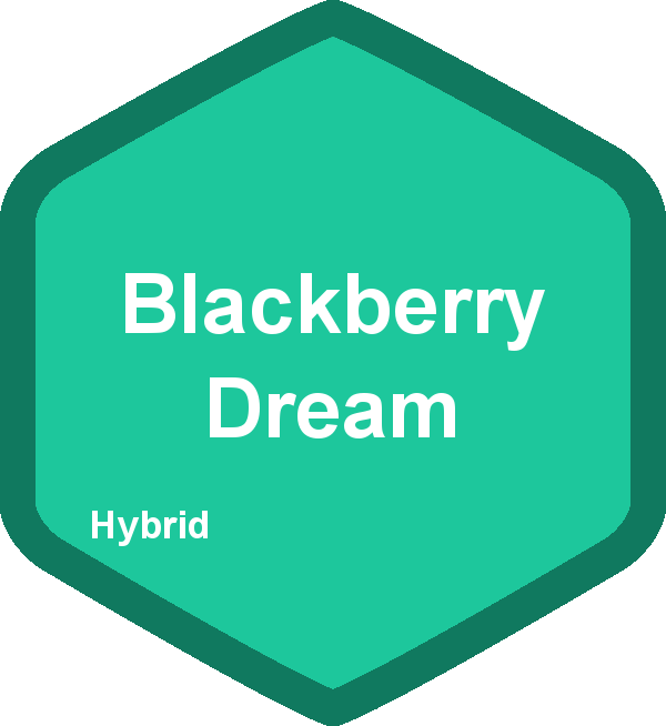 Blackberry Dream