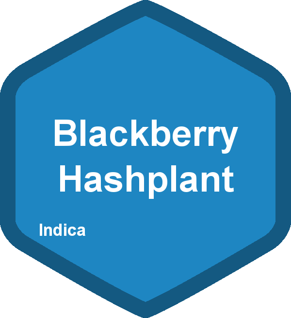 Blackberry Hashplant